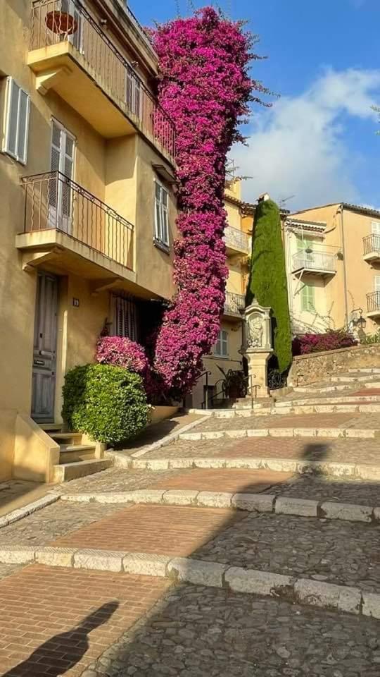 & Appartement