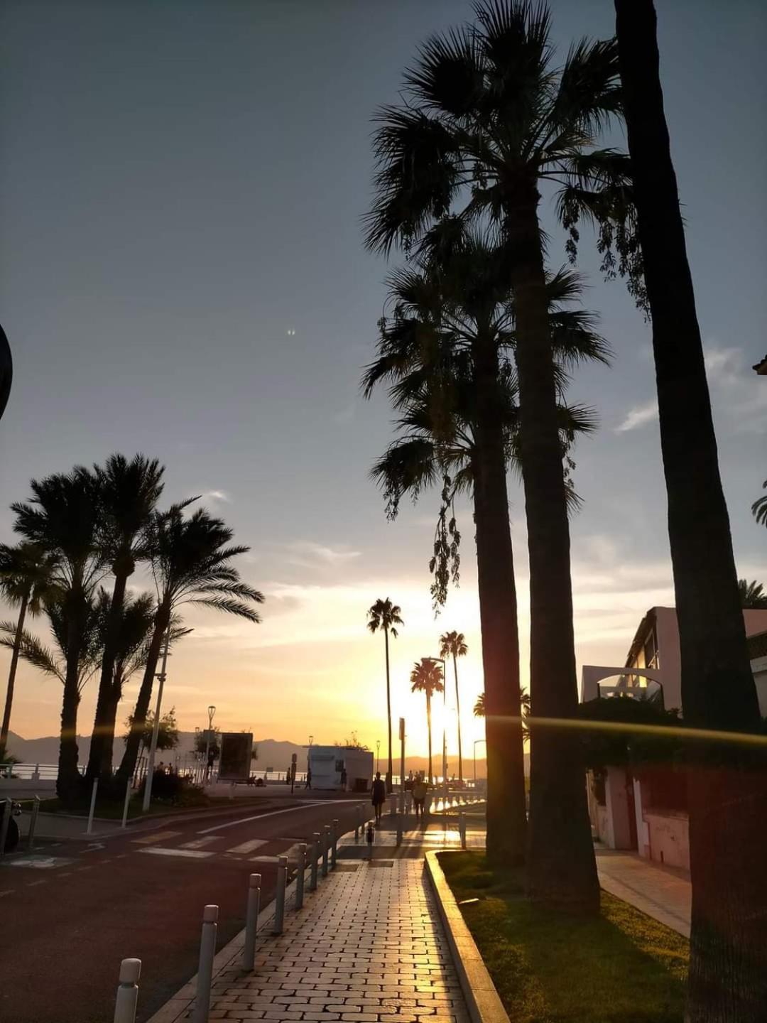 Appartement & Cannes